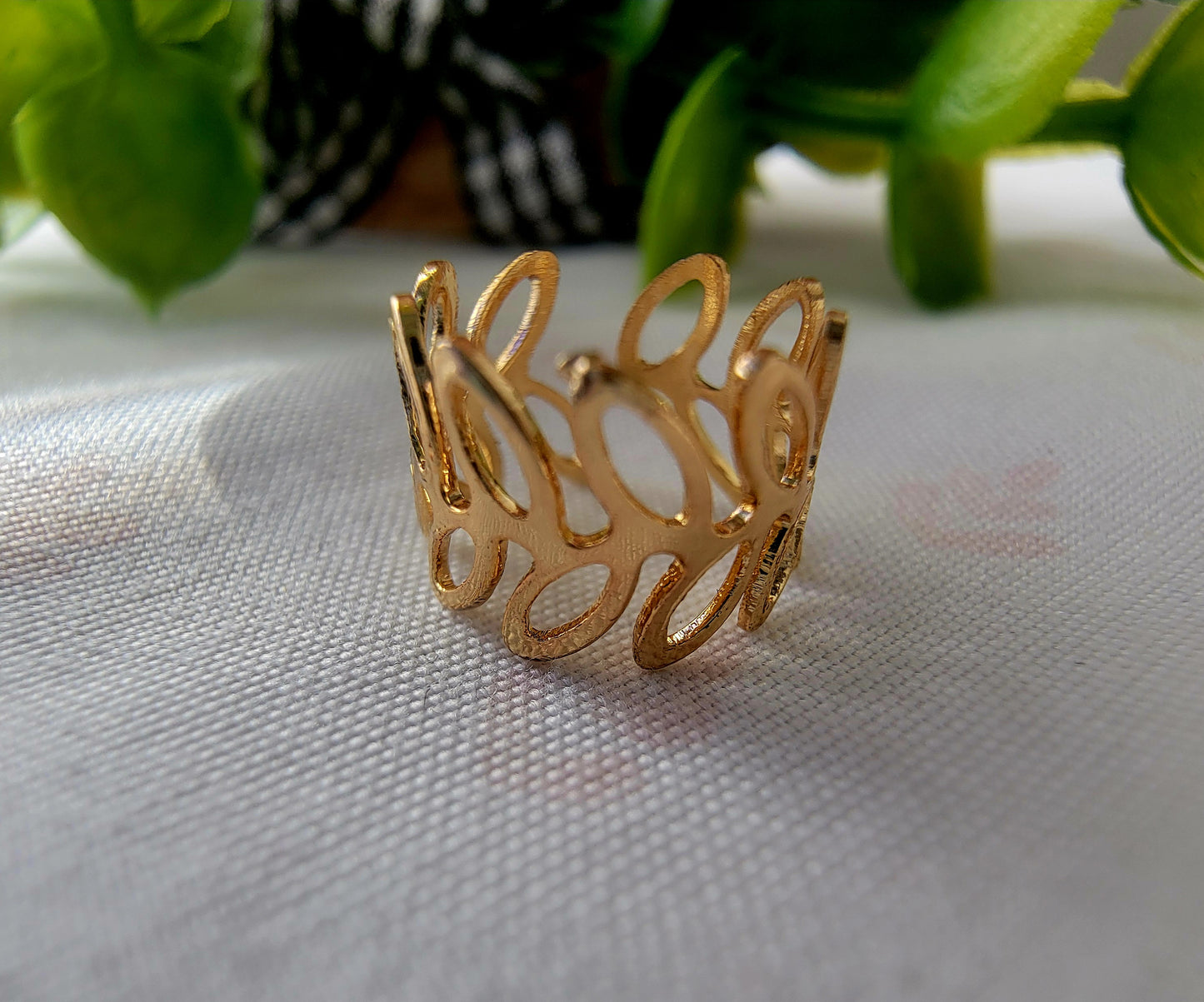 Conjunto de clips para orejas